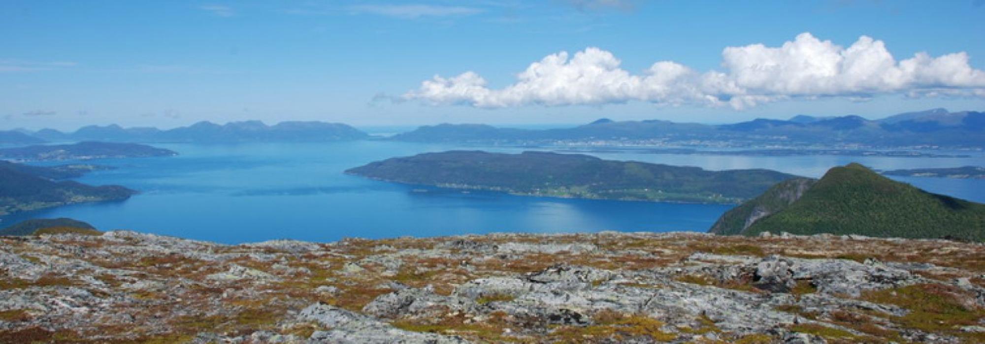 Seniortur til Kvitfjellet (Oksen) fra Rødven
