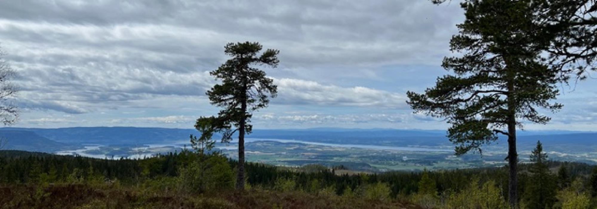 Langtur fra Ringkollen