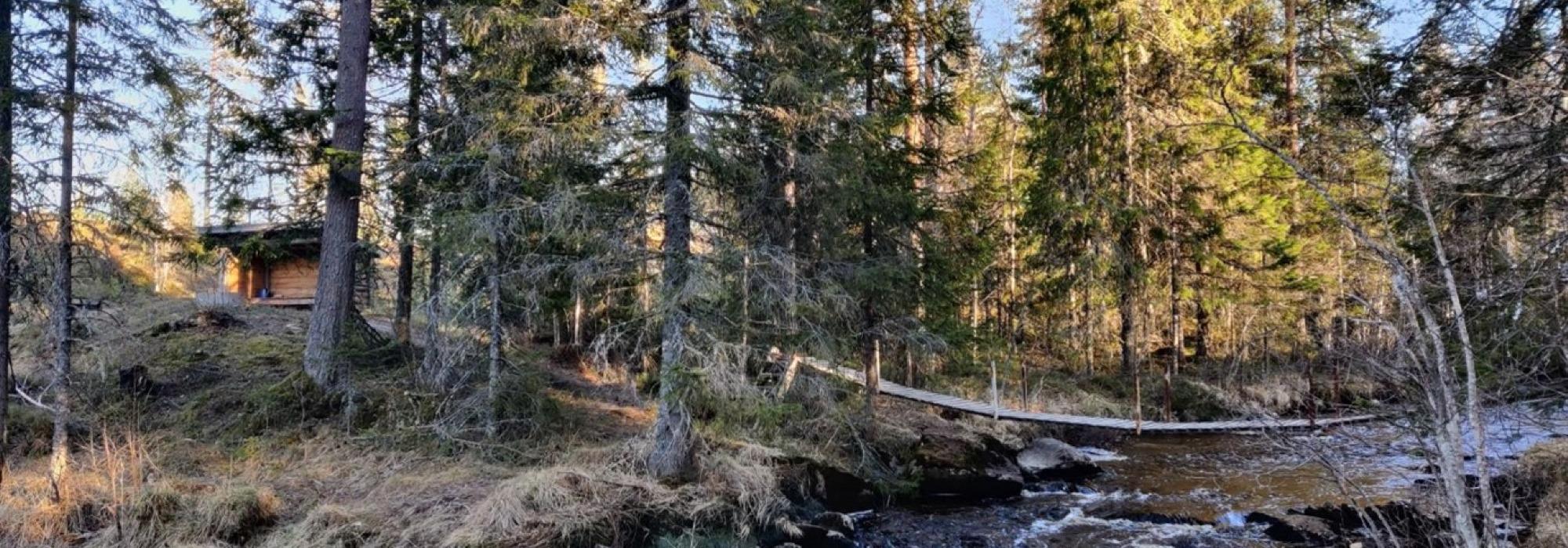 Kulturvanding i Grundsetmarka med kjentmann