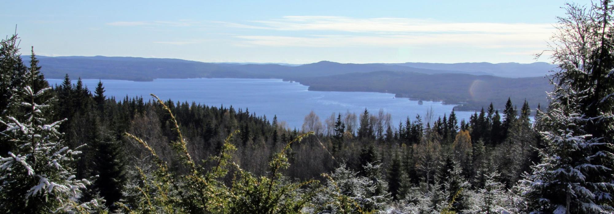 Kveldstur på Finnvegen med avduking av nye informasjonsskilt