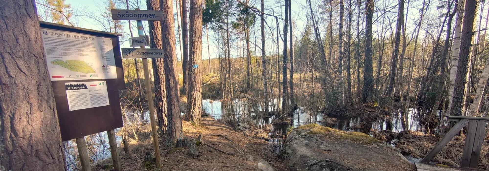 Historien om en sti – Bygdevegen i Grue