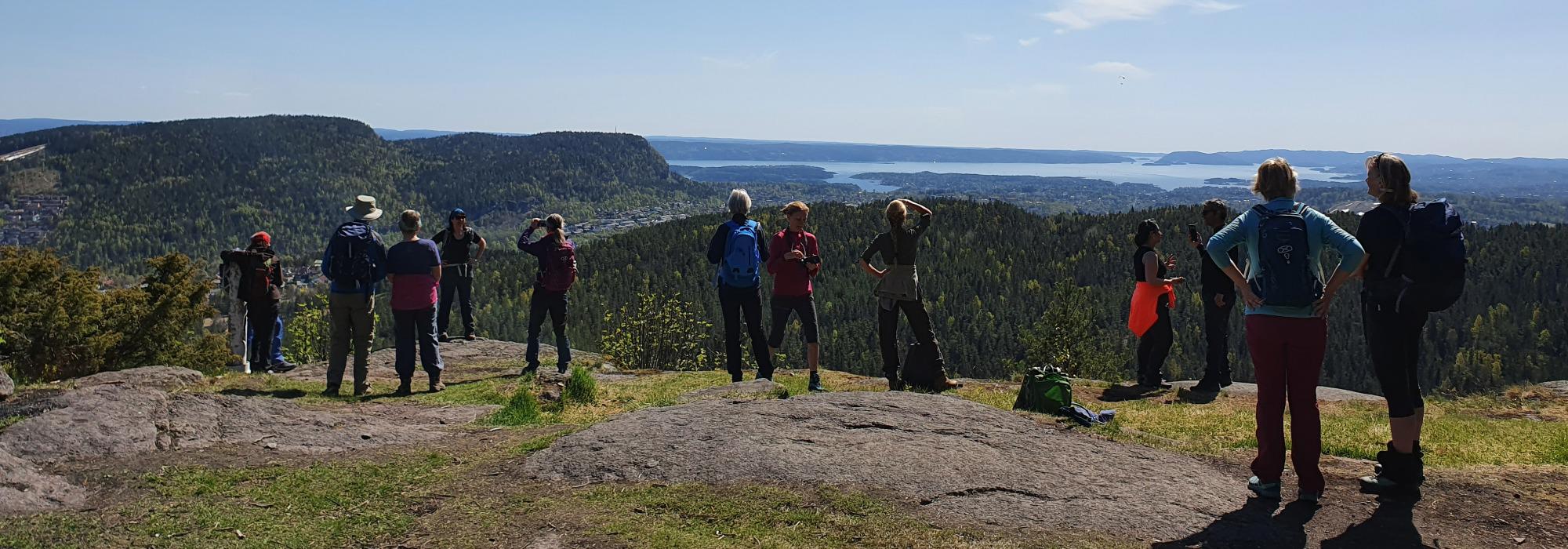 Topptur til Gommerudfjellet, Eineåsen og Haugskollen i Bærum