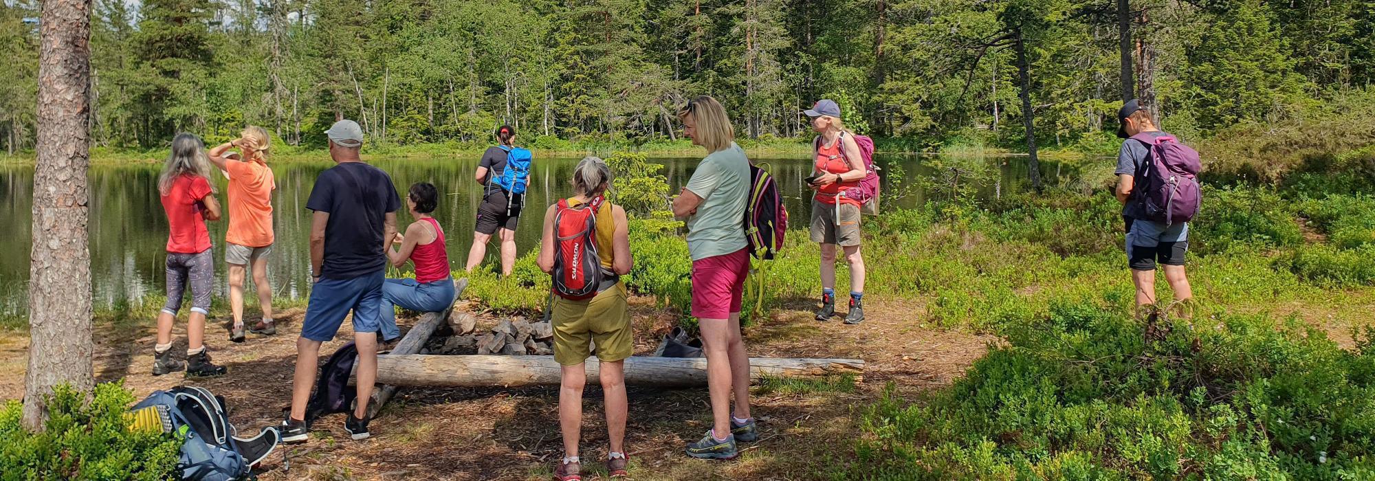Langs idylliske småvann i Bærumsmarka og Krokskogen