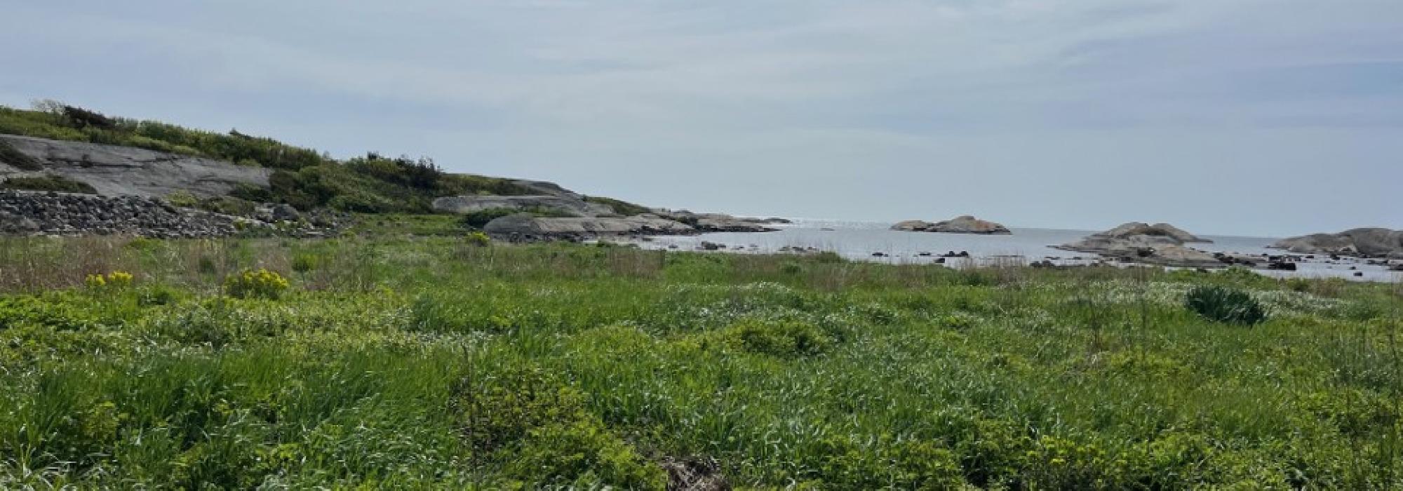 Kyststien ved Stavern i Larvik