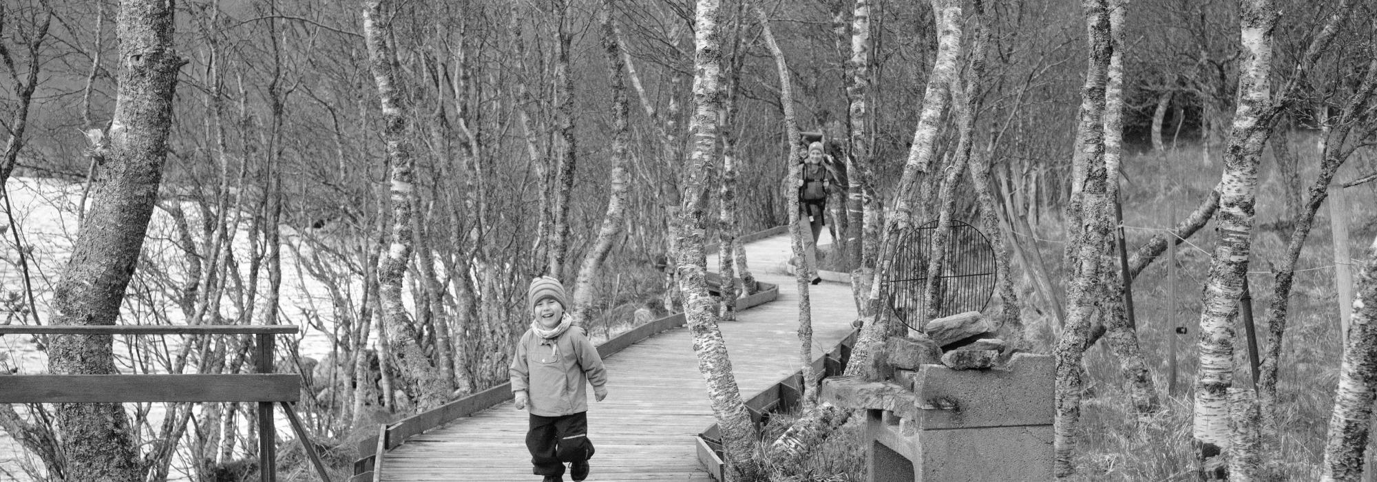 Bukkene Bruse-tur i Vatndalen