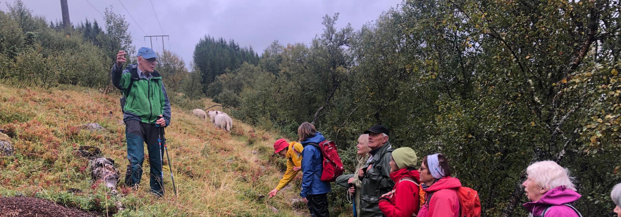 Til Utsikten på Hadseløya