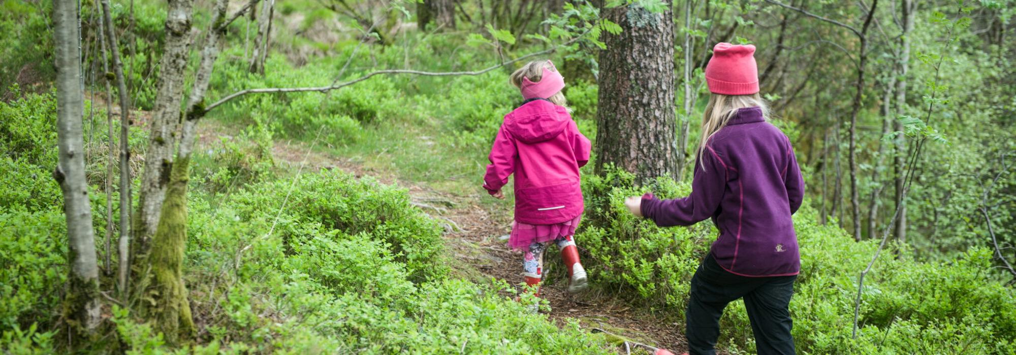 Barnas turlag | Søndagstur til Signalen