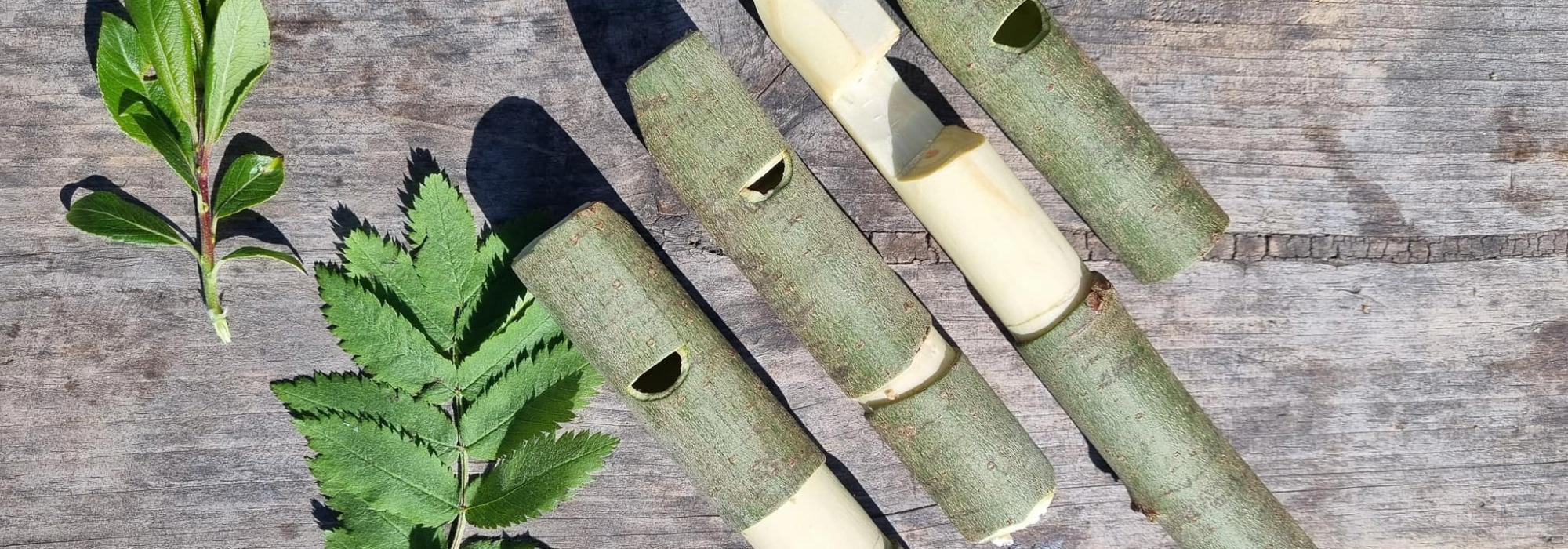 Barnas Turlag - Spikking av seljefløyter i Nesparken