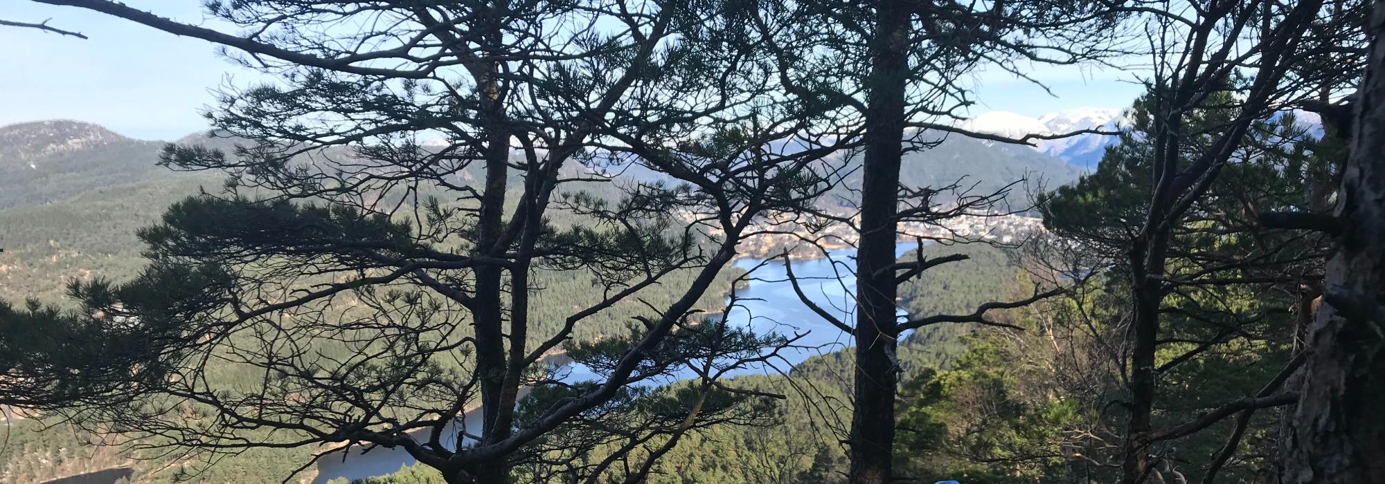 Tysdagstur dagtid: Skogafjellet