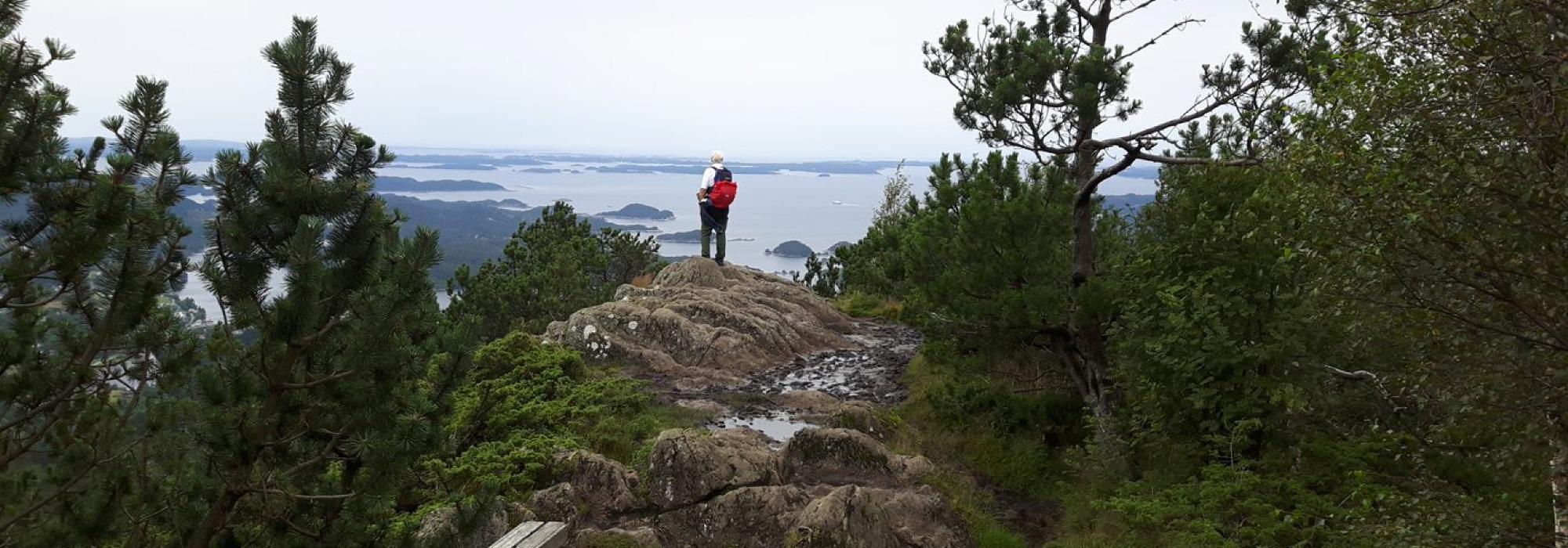 Tysdagstur:  Vetle- og Store Lyshornet