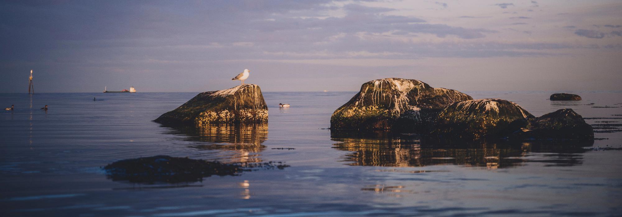 Kyststien på Jeløya - Tur og kultur