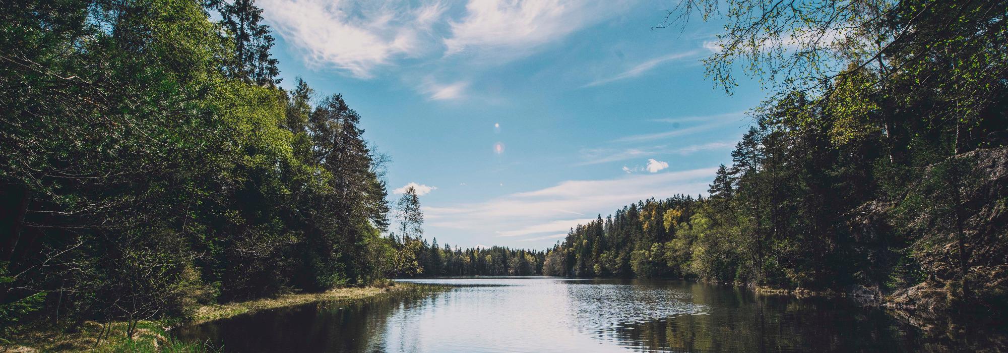 De gamle kirkestiene i Fredrikstadmarka - Tur og kultur