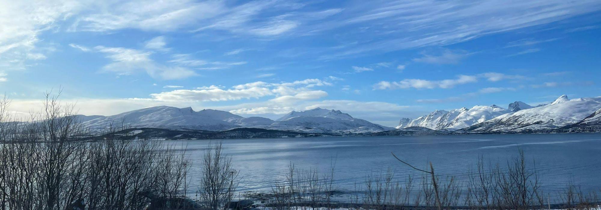 DNT senior Troms - Skattøra borettslag til Heracleum  14 april