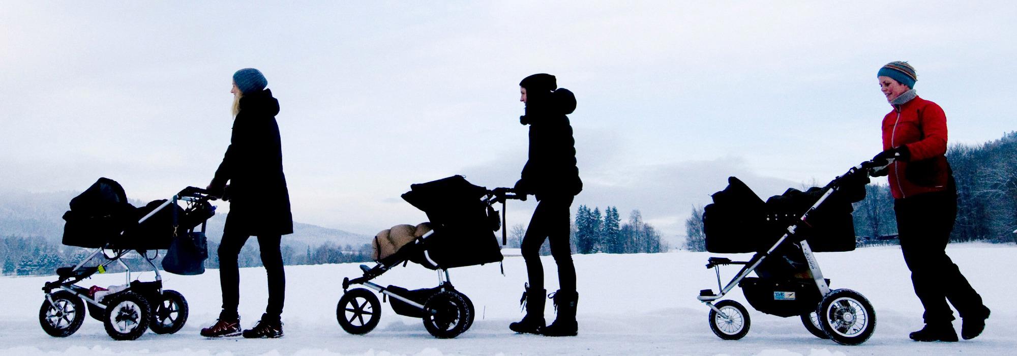 Trillegruppe i Molde med sosial kaffesamling etter tur    - (1)