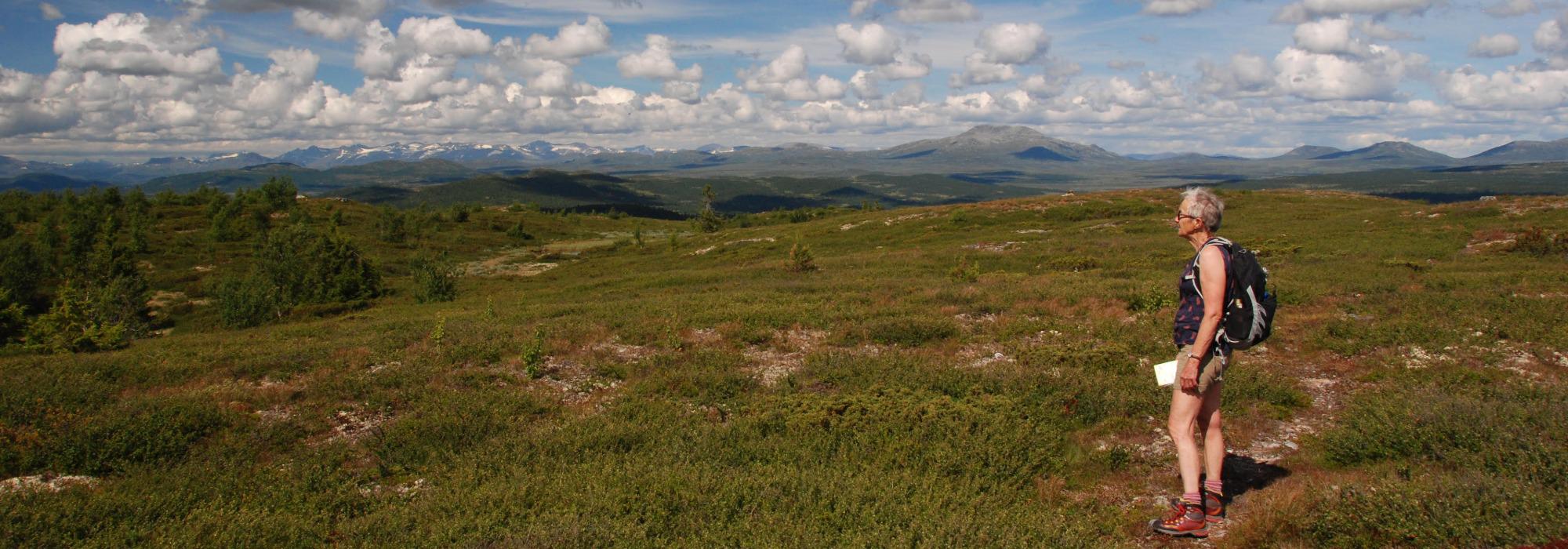 Onsdagssnerten: Saurshøgde - Kremtopp 2026