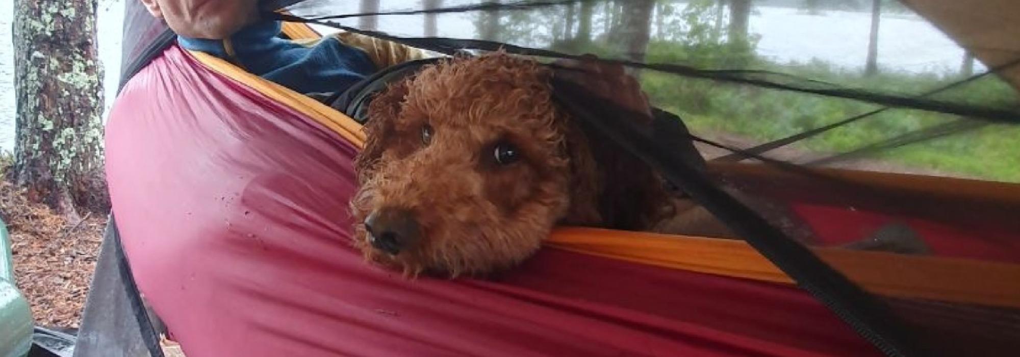 Internasjonal overnattingstur - overnatting i hengekøye eller telt ved Aurevann