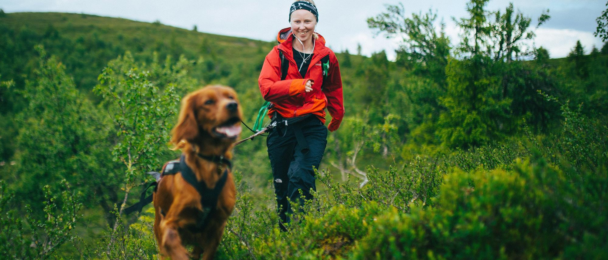 Hundevenner på tur - Bergen - Storhovden