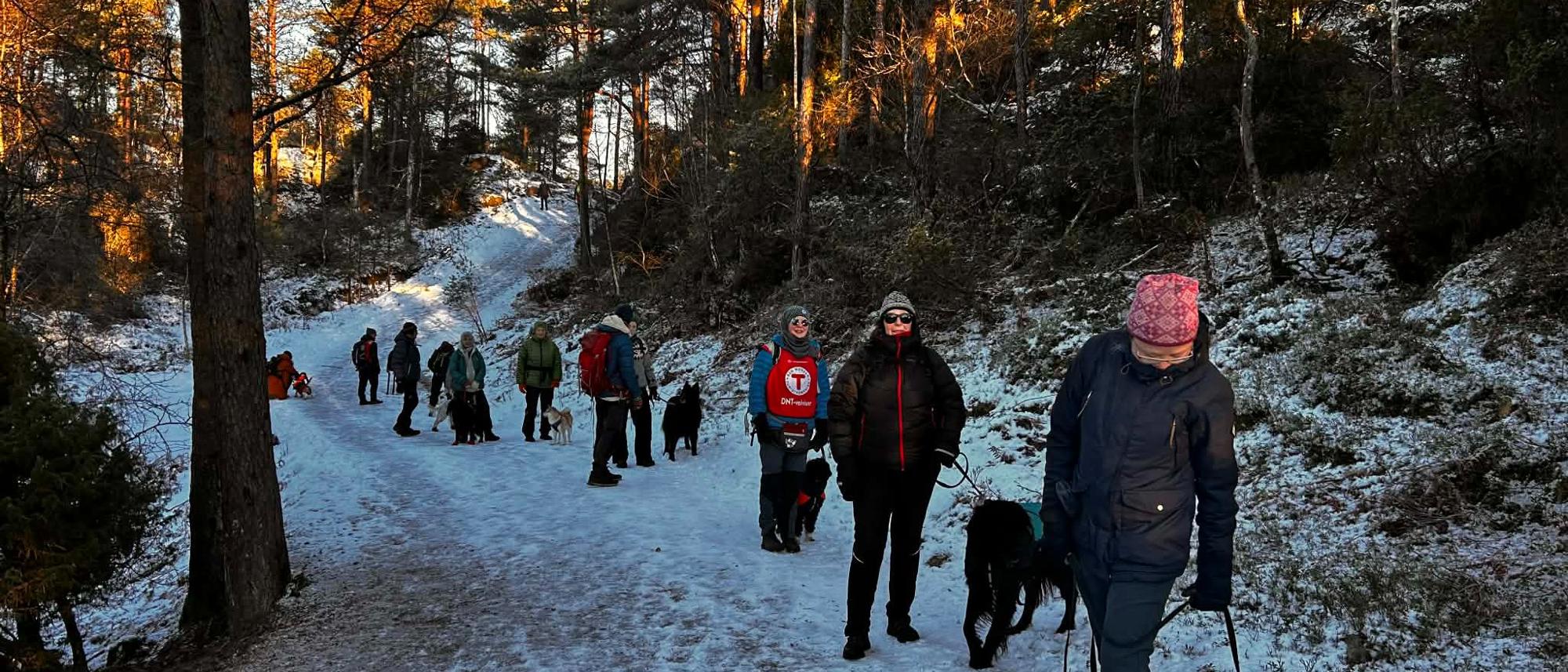 Hundevenner på tur - Bergen - Hetlebakksåta