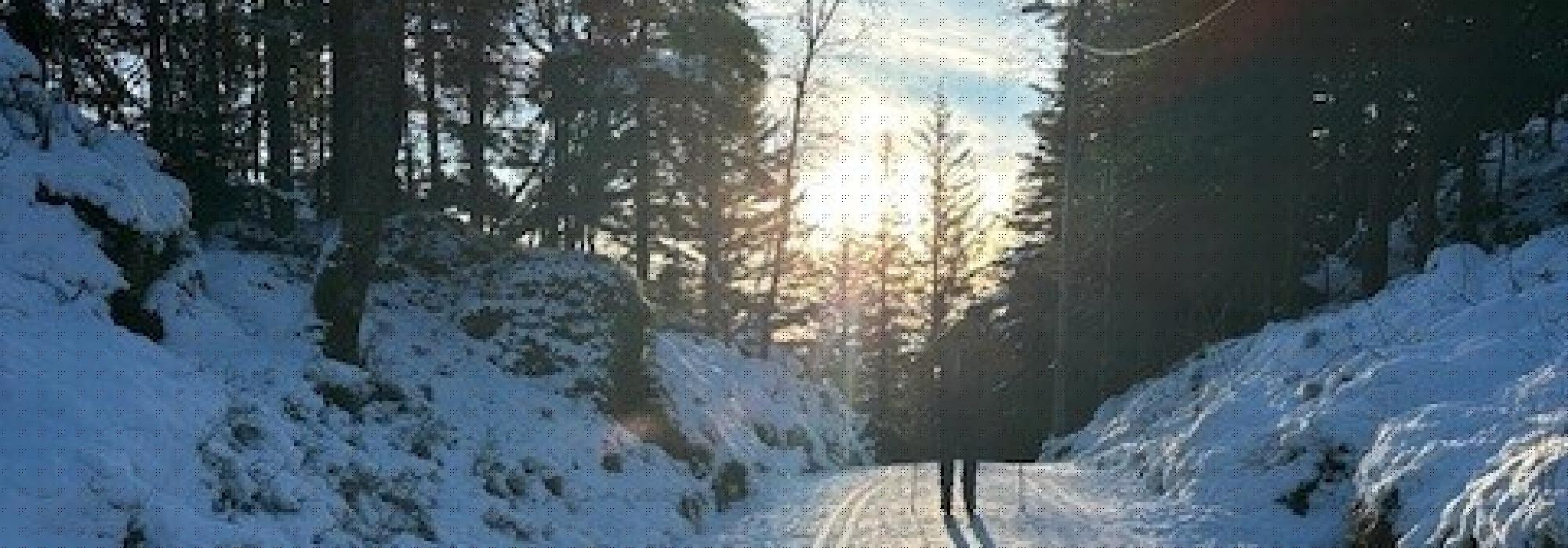 Tur til Åsebu med språktreningsgruppen "Til Topps"