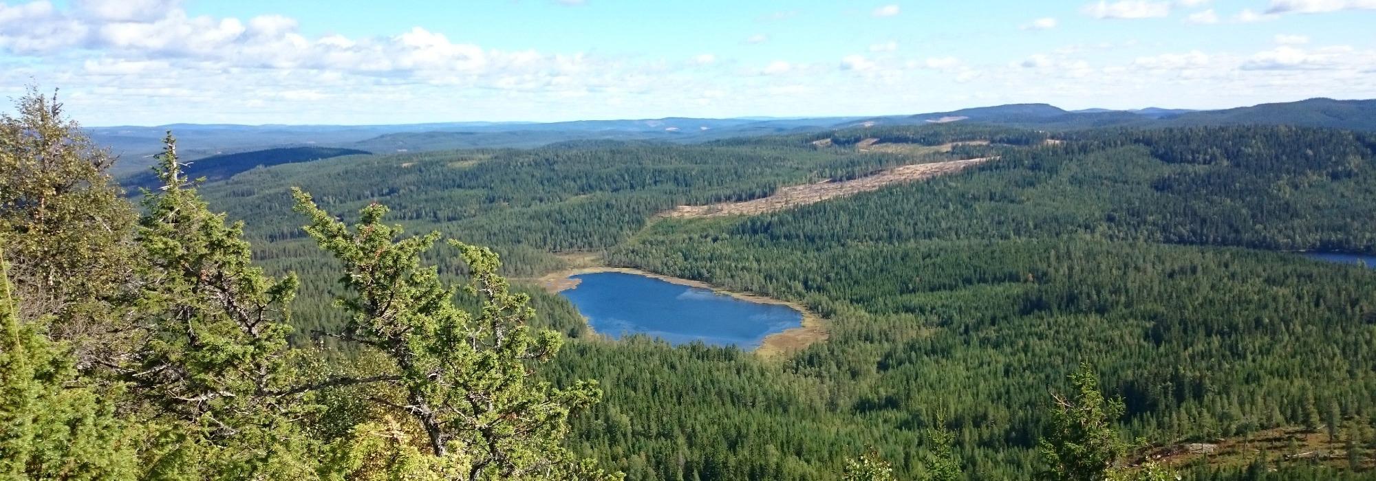 Fall til Elgklinten på etappe 9 Finnskogleden