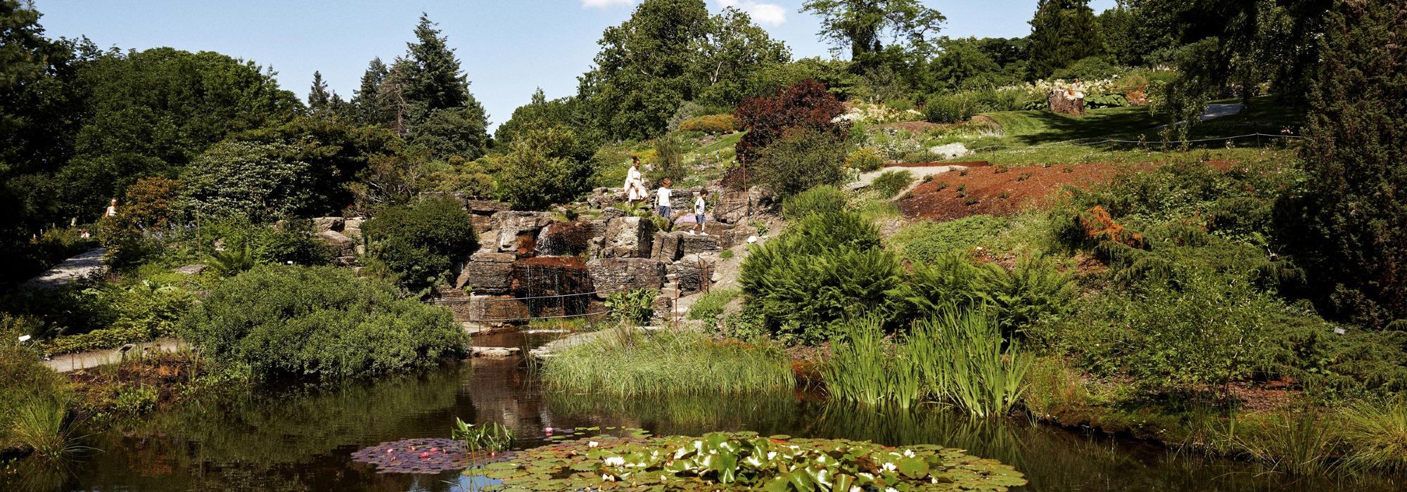 Aktiv i 100 tur til Botanisk hage, Naturhistorisk museum