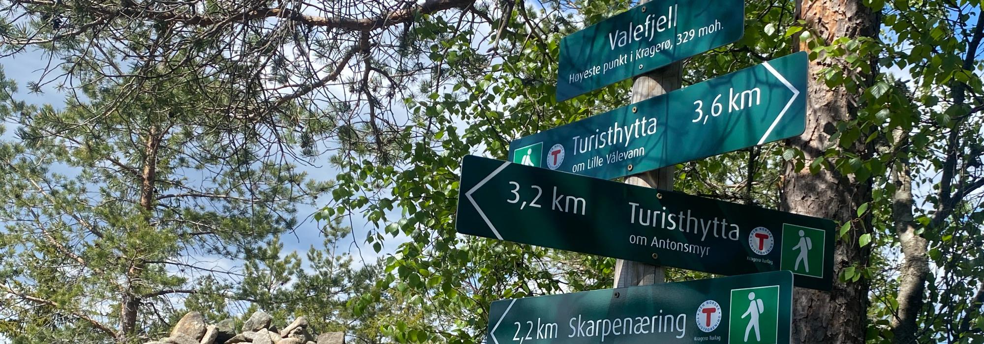 Fellestur til Valefjell (Krokheia) - Kragerøs høyeste punkt