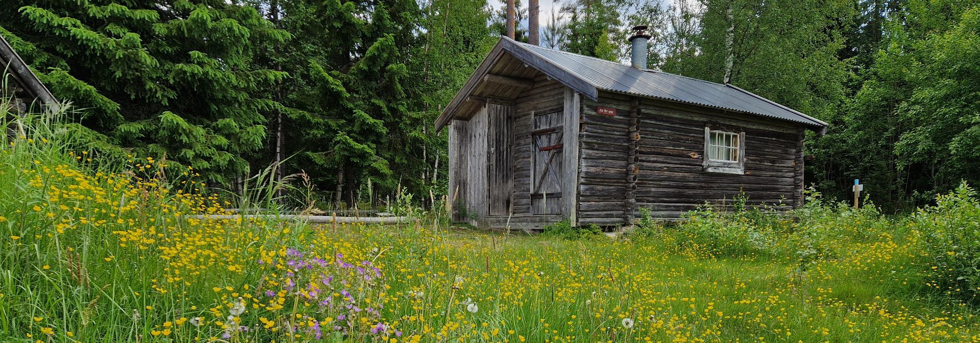 Kveldstur i Svartholtet