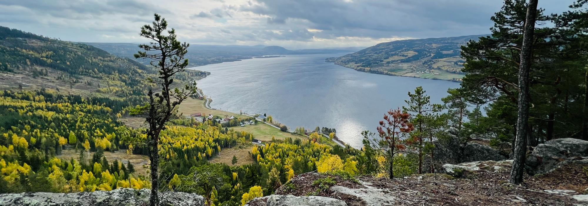 Høkleberget og Hornskleiva