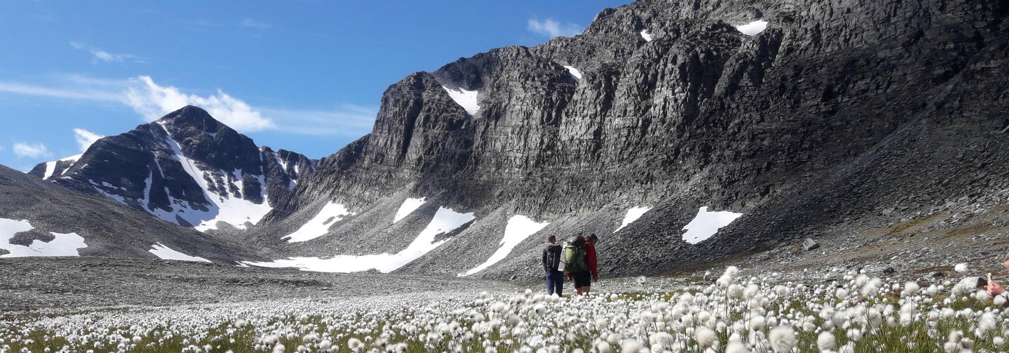 Årets topptur – Veslesmeden i Rondane 2015 moh