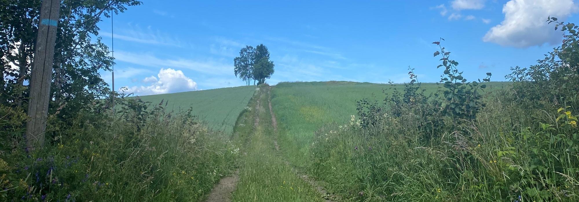 Vårtur langs Kulturstien på Grindvoll