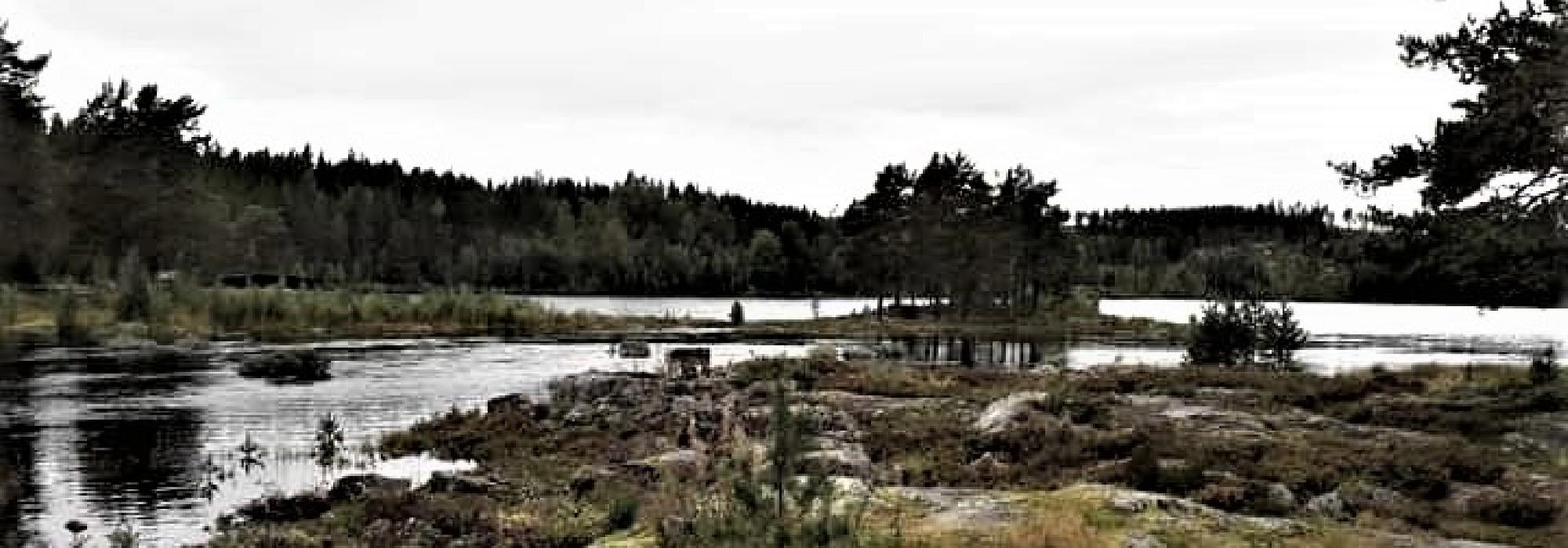 Natt i naturen for store og små