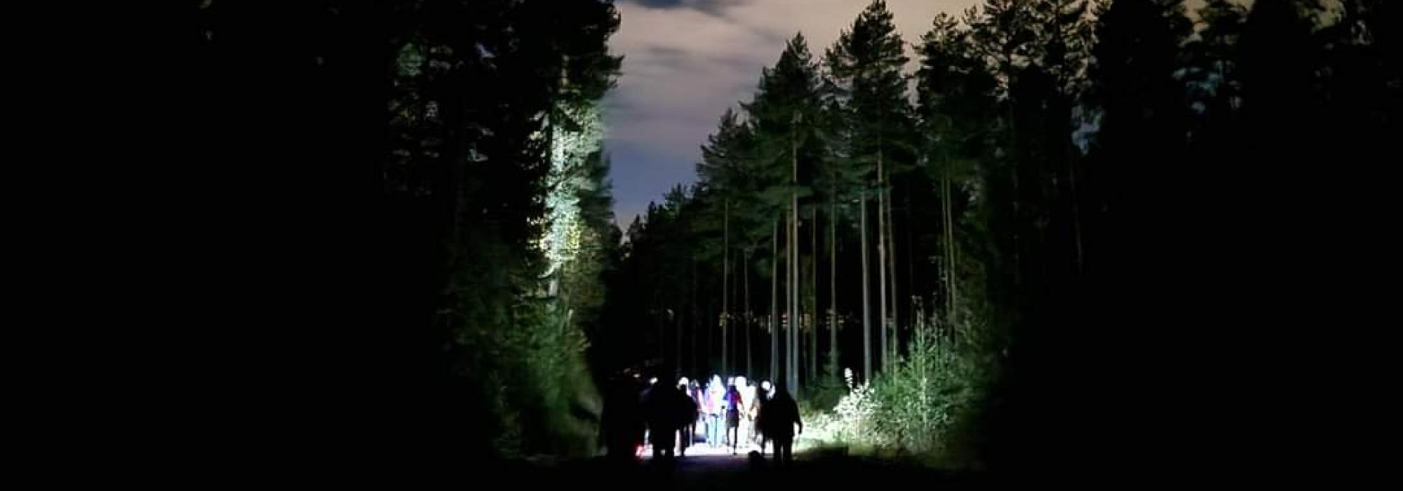 Meteortur i Stavåsen