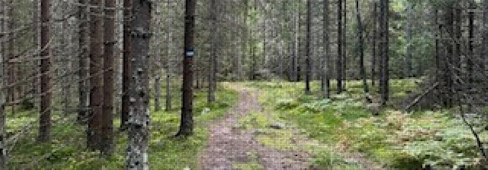 Rundtur Veiviseren - Lørenskog Stasjon - Veiviseren