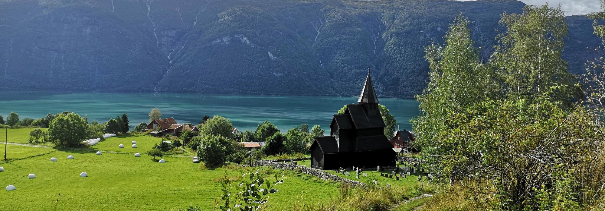 Villblomstens dag - Botanikk og fototur til Urnes Stavkjyrke