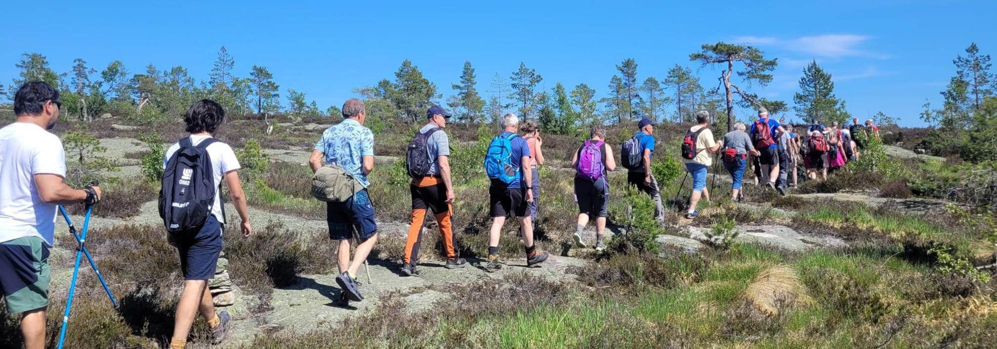 Drivheia rundt i Gjerstad