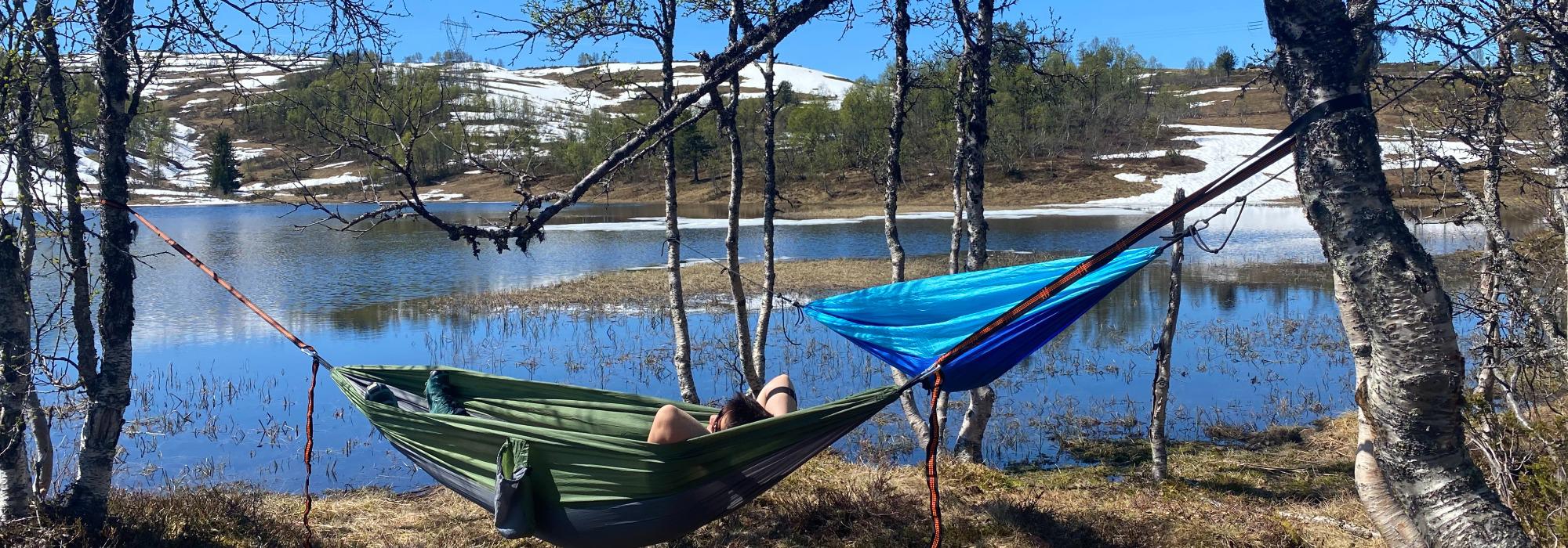 TEMATUR: Stølsvandring Årvollsåsen