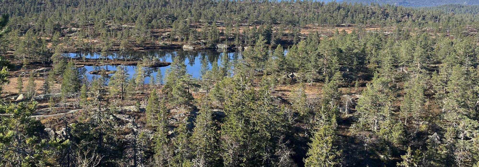 Neråsen Nord på Breiset - Kjentmannsmerketur