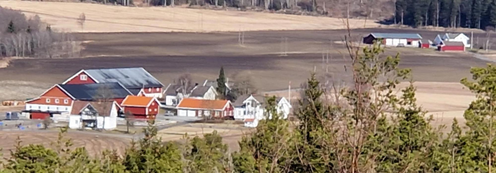 Nærtur i Strupeskogen