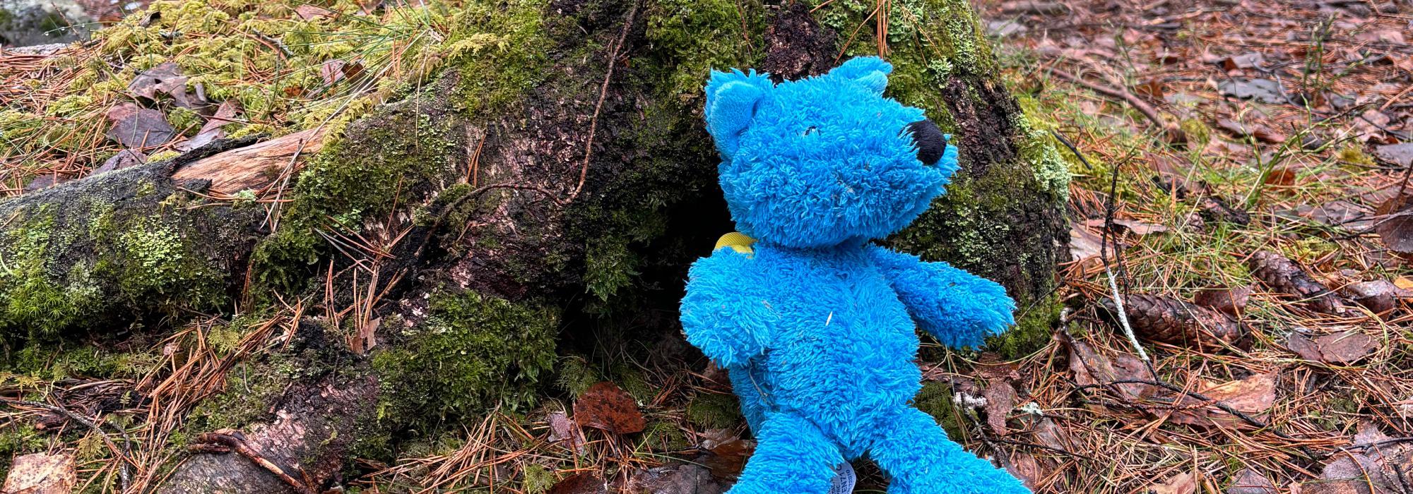 Tur til Børsesjø med Barnas turlag Skien