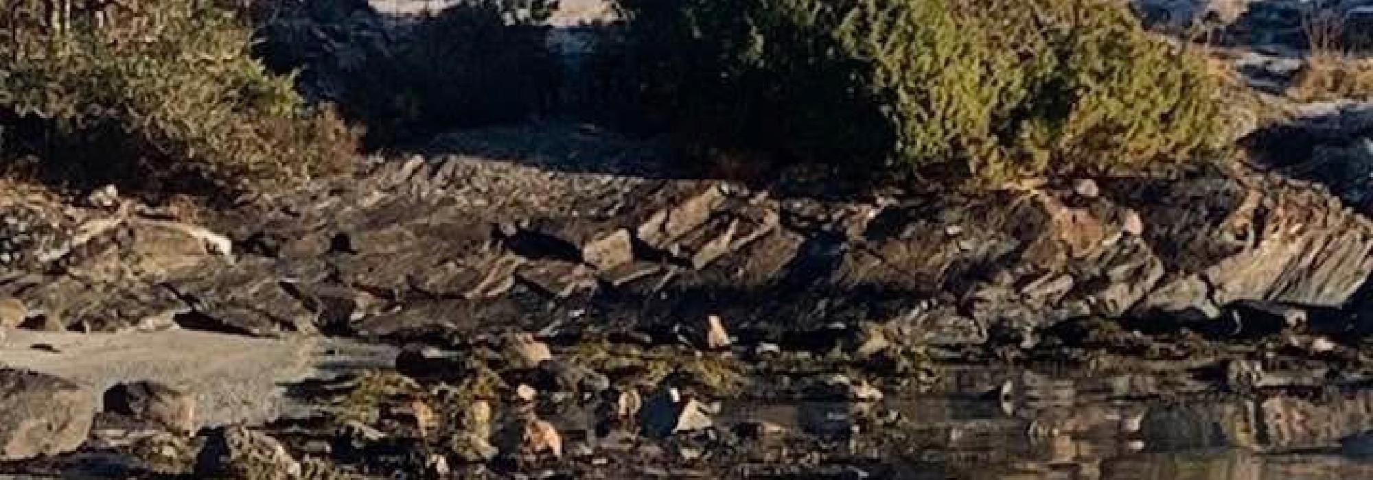 T 2 Hovaneset-Lunde-Sævarhagsvikjo