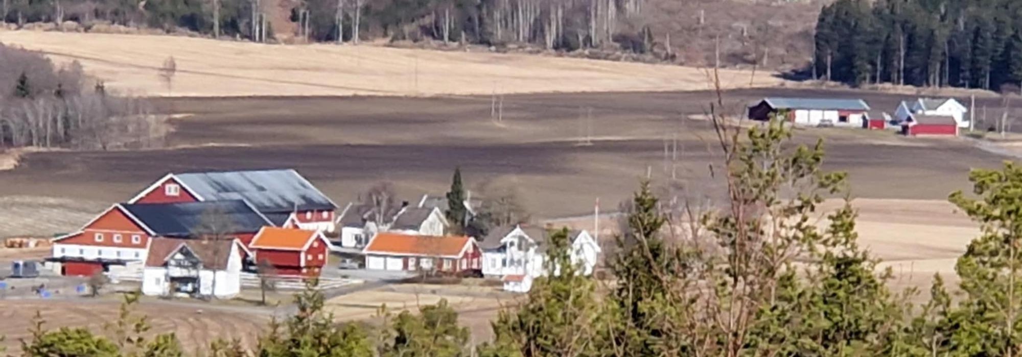 Nærtur i Strupeskogen