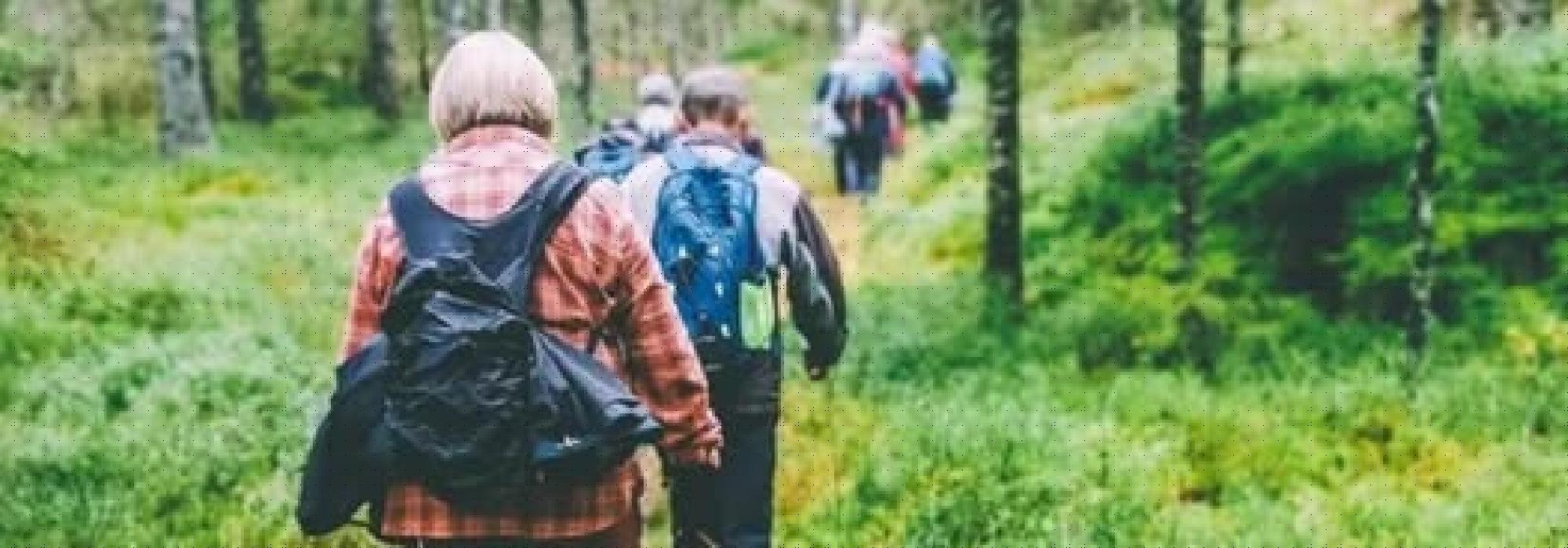 Lille Losbyrunden - Kveldstur