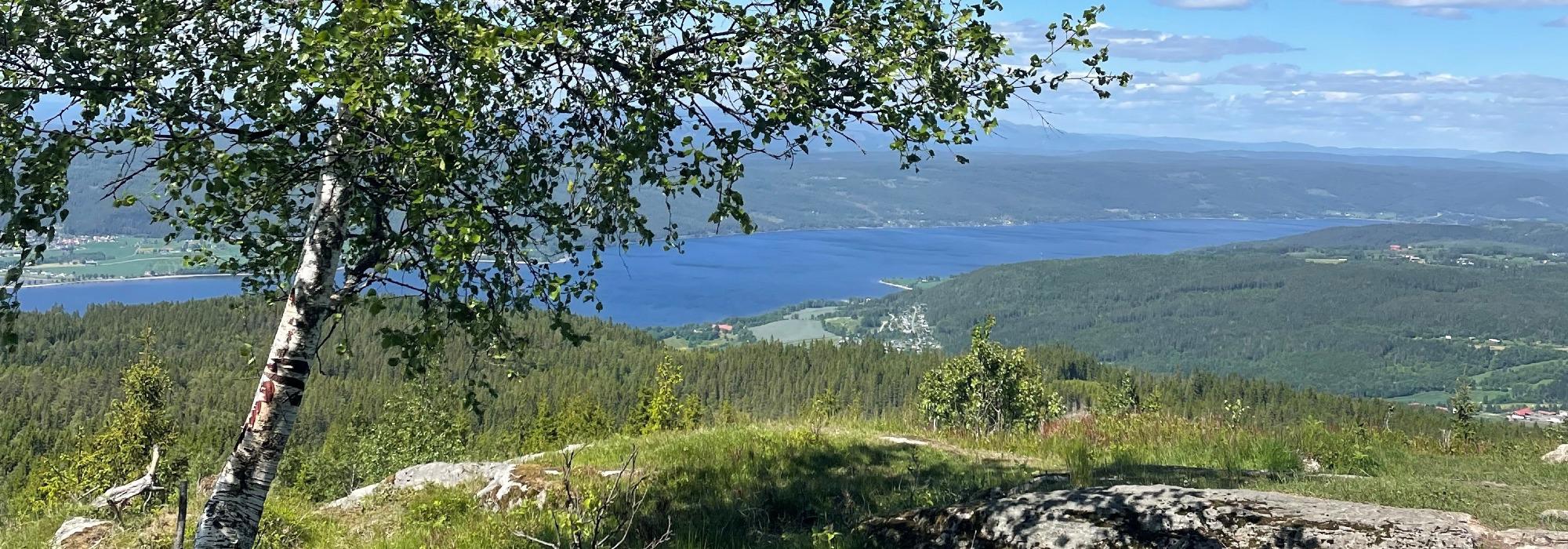 Lamannshaugen - Fellestur med Barnas Turlag