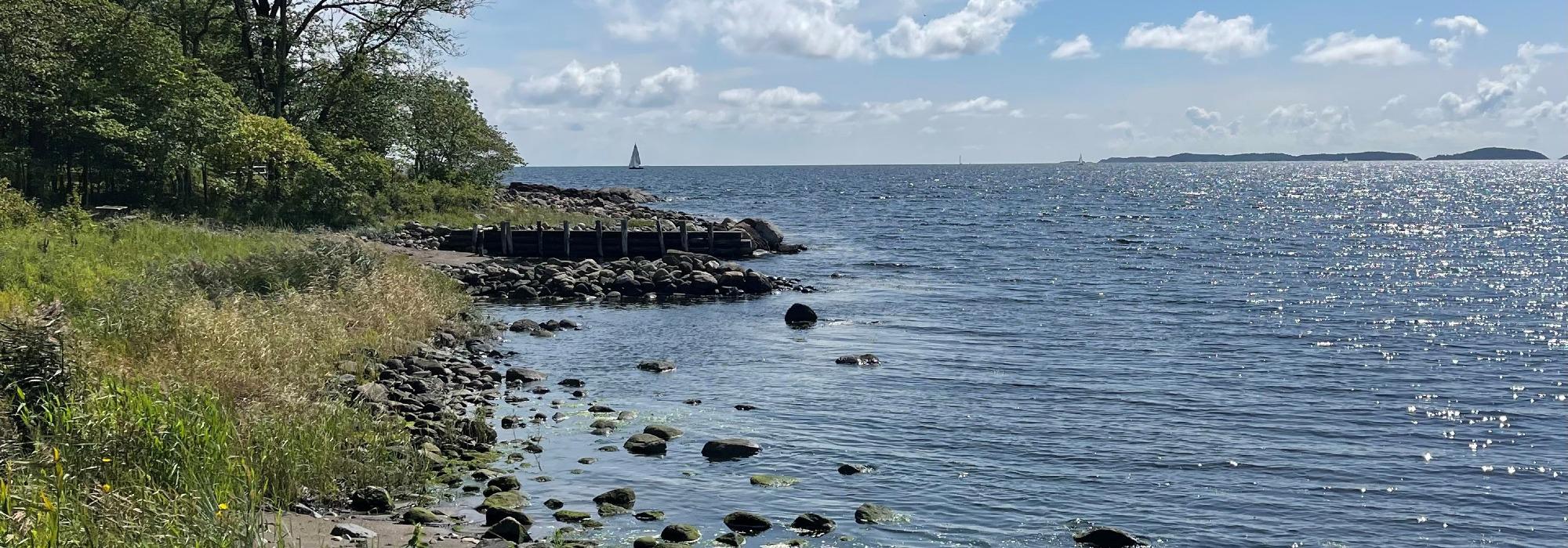 Langhelg i Stavern med morgenyoga, gåturer og bademuligheter