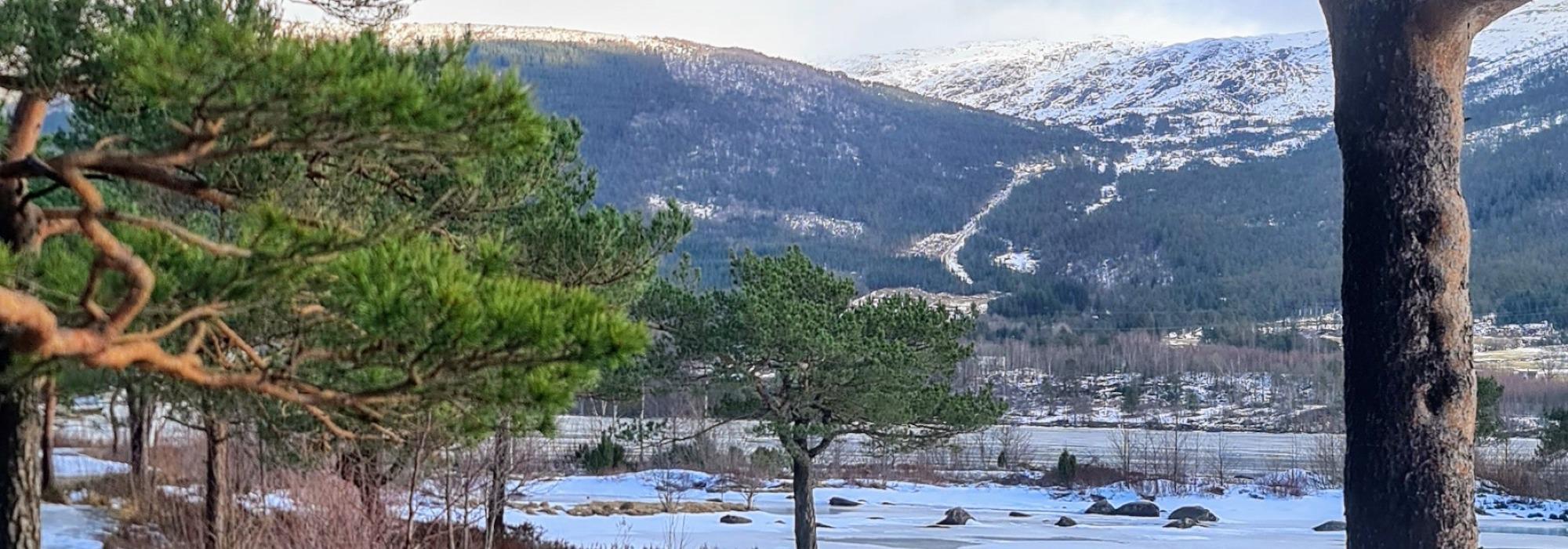 Husnesparken og Golfbanen