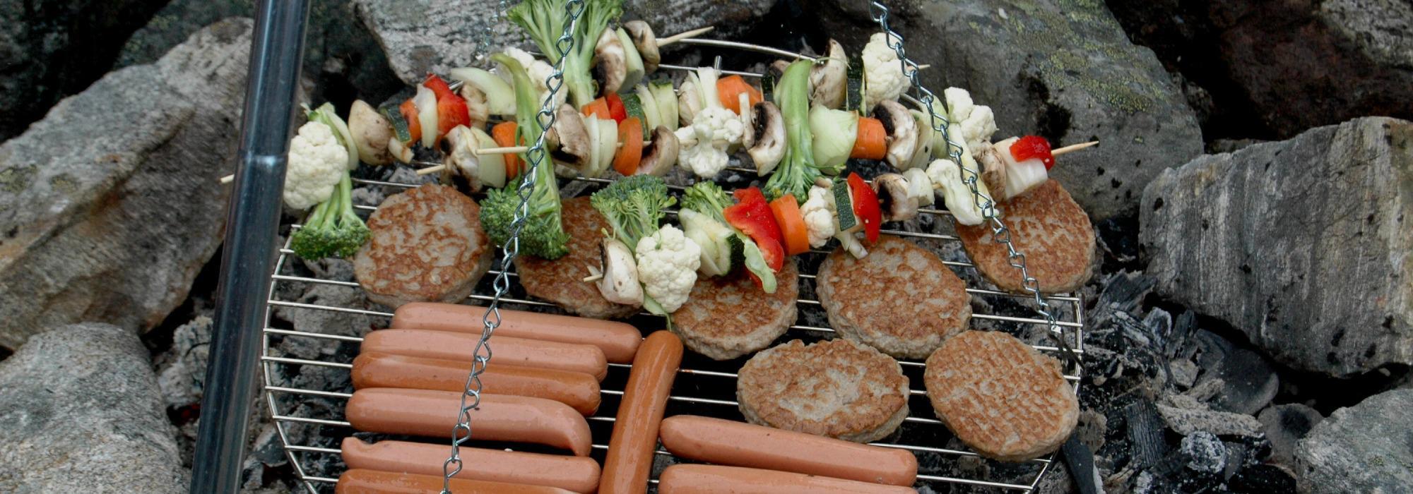 Friluftshangout (20-35år) - Sommeravslutning med grilling og bading