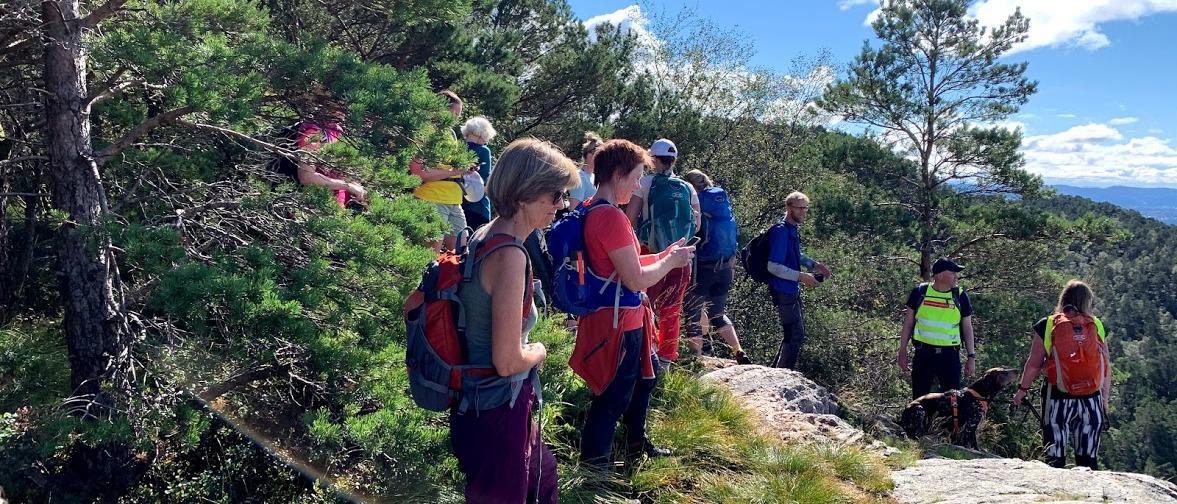 Kanadaskogen med DNT nærtur Bergen