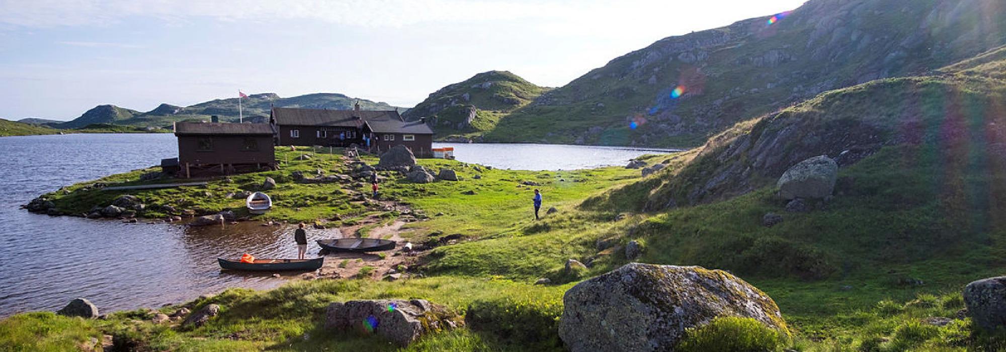 Fjelleir på Øyuvsbu 10-12 år
