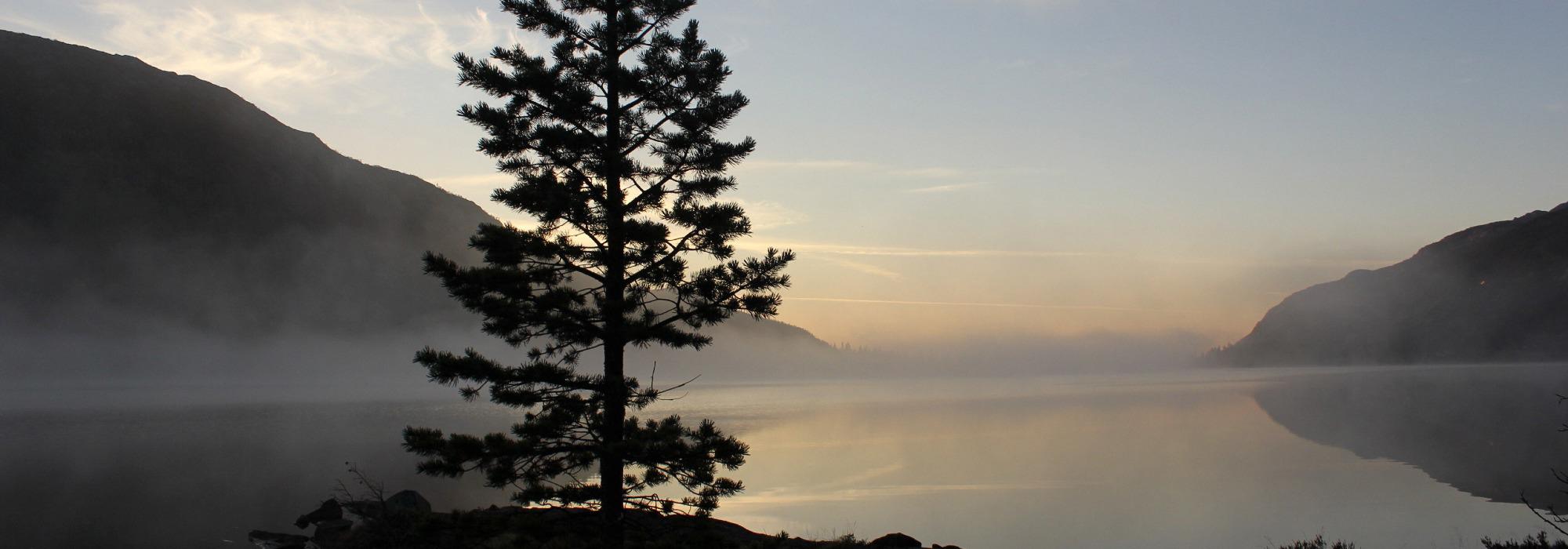 Familietur til Gavlesjåstulen i samarbeid med Everket