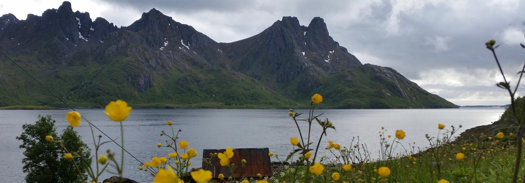 Tur i Steinlandsmarka